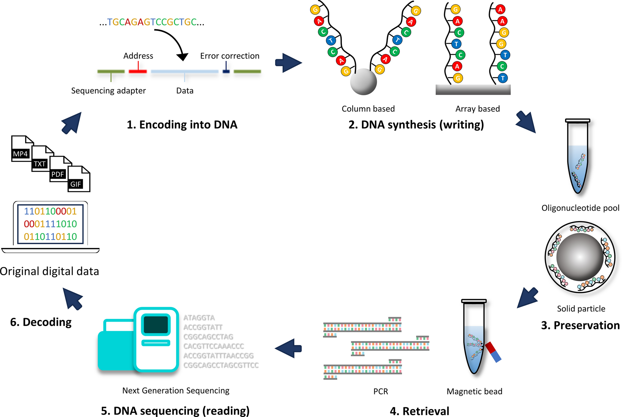 Correction: Recent progress in DNA data storage based on high-throughput DNA synthesis