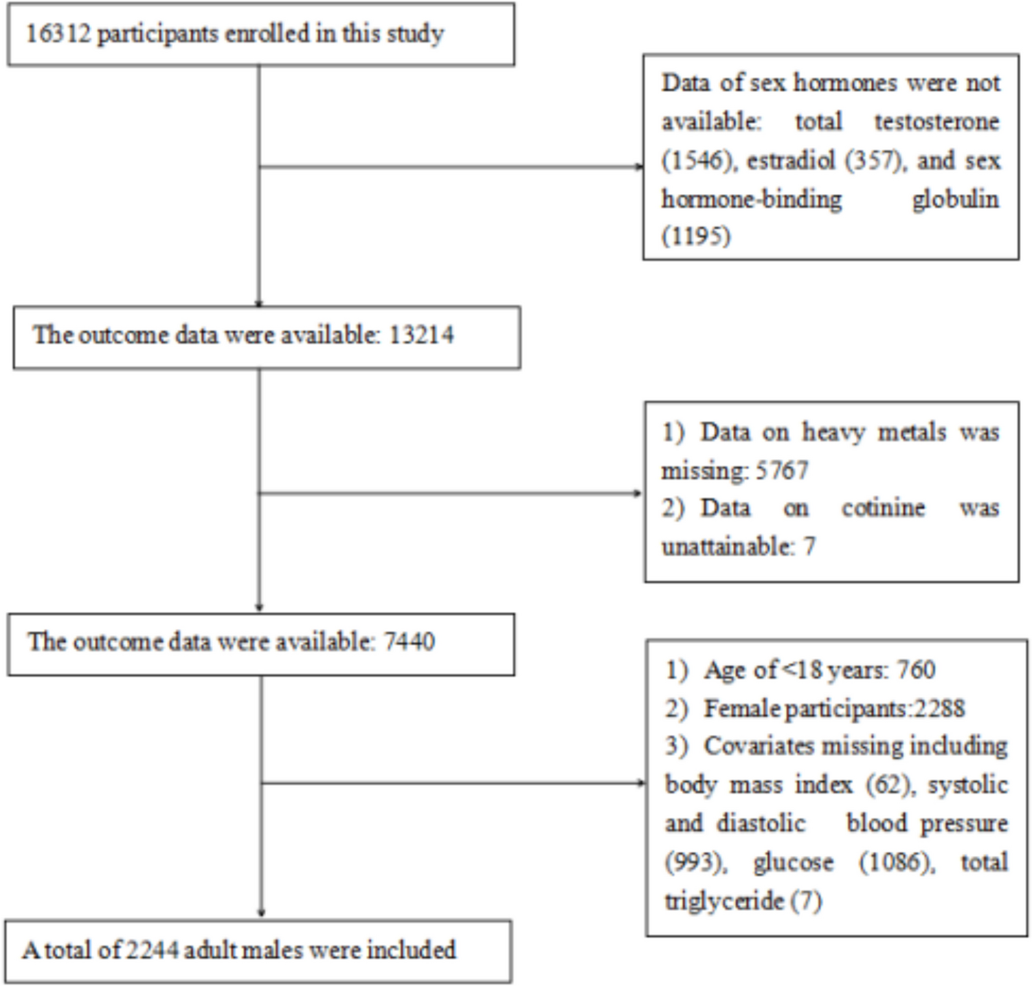 Joint effects of tobacco smoke exposure and heavy metals on serum sex hormones in adult males