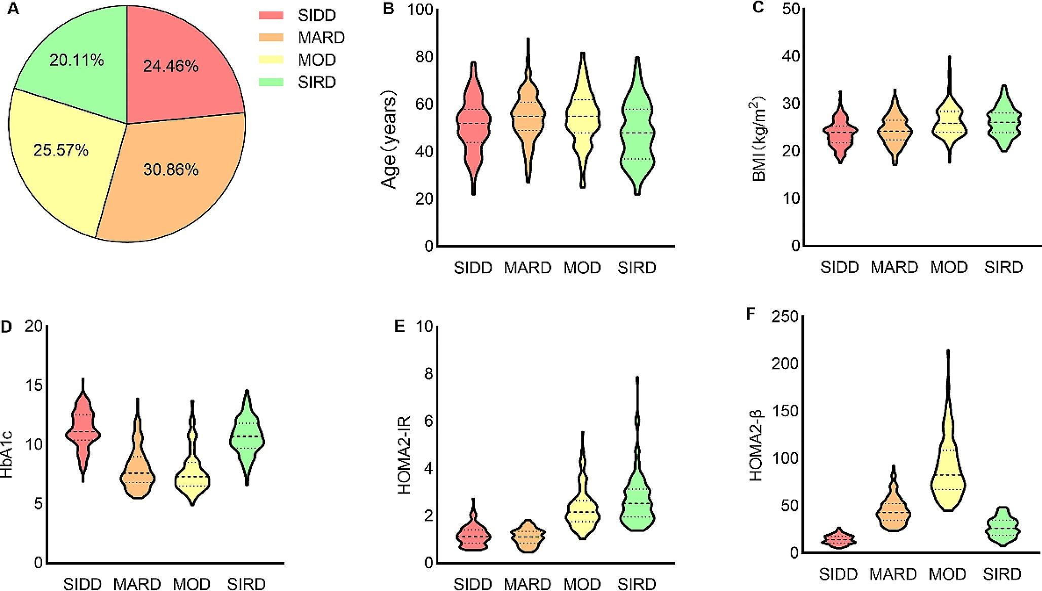 Clinical application of cluster analysis in patients with newly diagnosed type 2 diabetes
