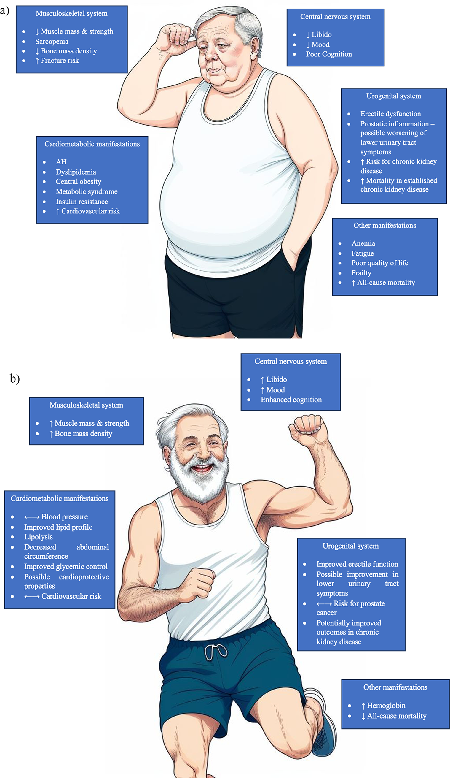 Testosterone therapy for functional hypogonadism in middle-aged and elderly males: current evidence and future perspectives