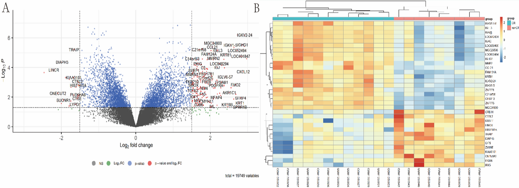 Identifying hub genes for chemo-radiotherapy sensitivity in cervical cancer: a bi-dataset in silico analysis