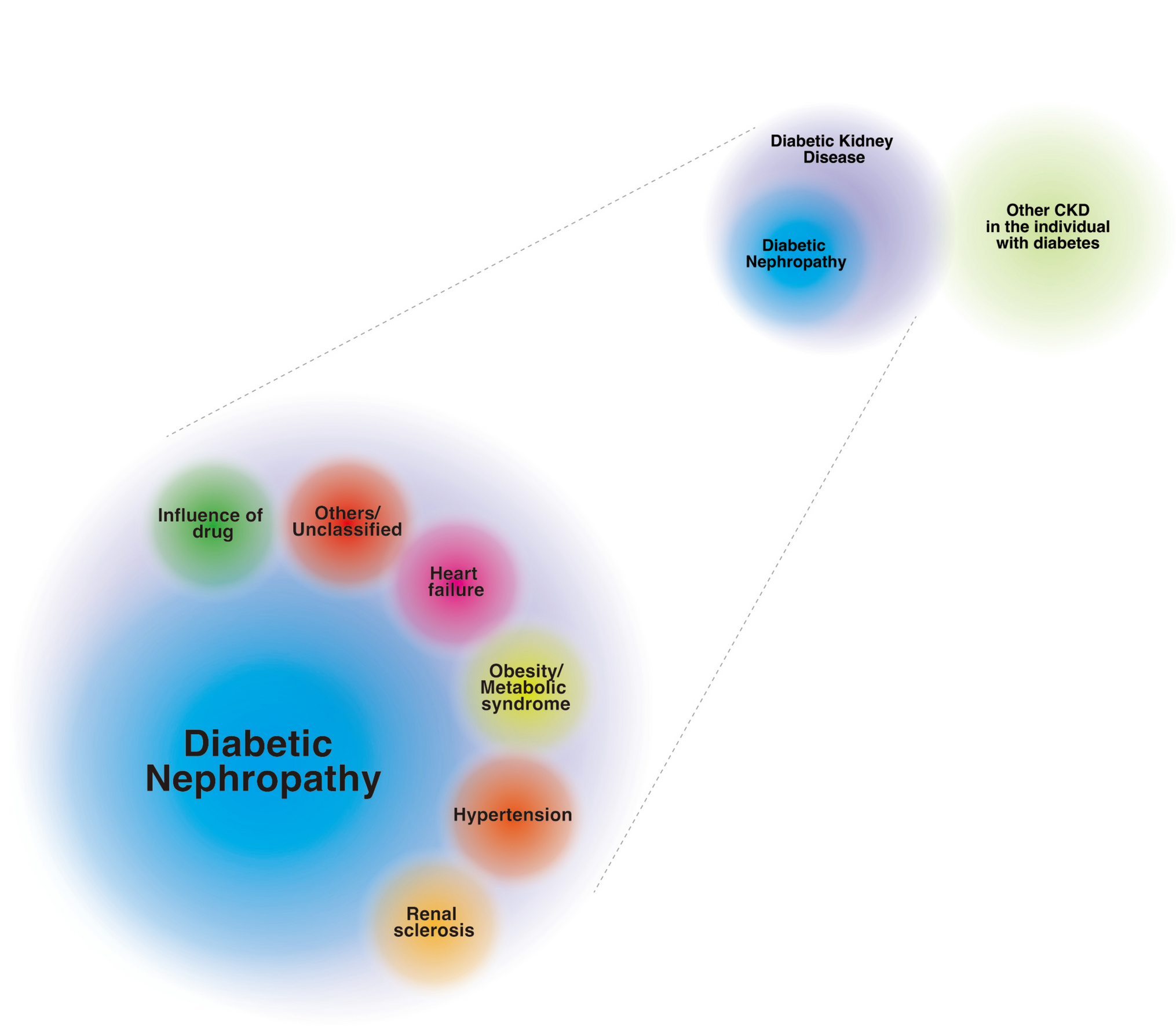 'DKD' as the kidney disease relevant to individuals with diabetes
