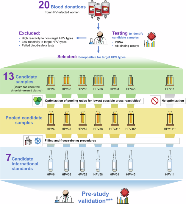 WHO International Standards for antibodies to HPV6 HPV11 HPV31 HPV33 HPV45 HPV52 and HPV58