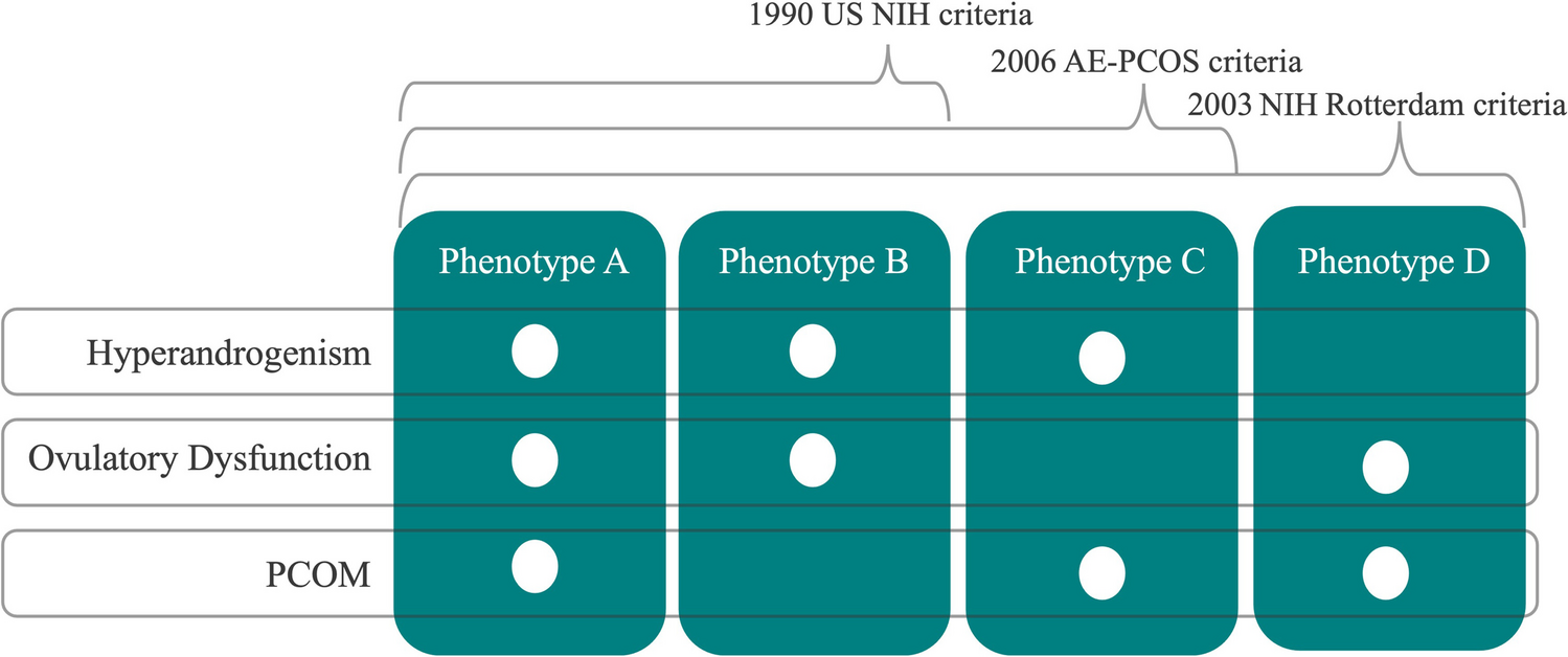 Mental Health Across the Menstrual Cycle in Polycystic Ovary Syndrome: Insights and Implications