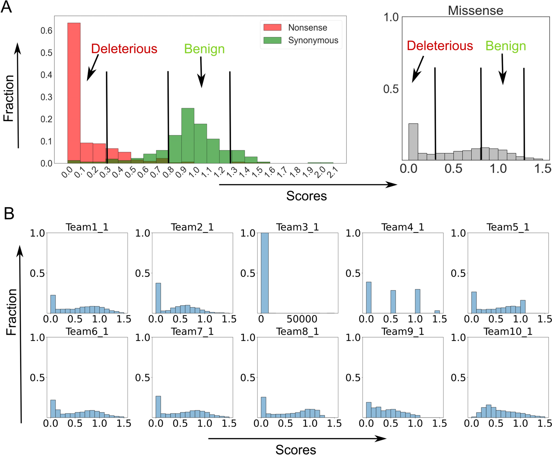 Assessing predictions on fitness effects of missense variants in HMBS in CAGI6
