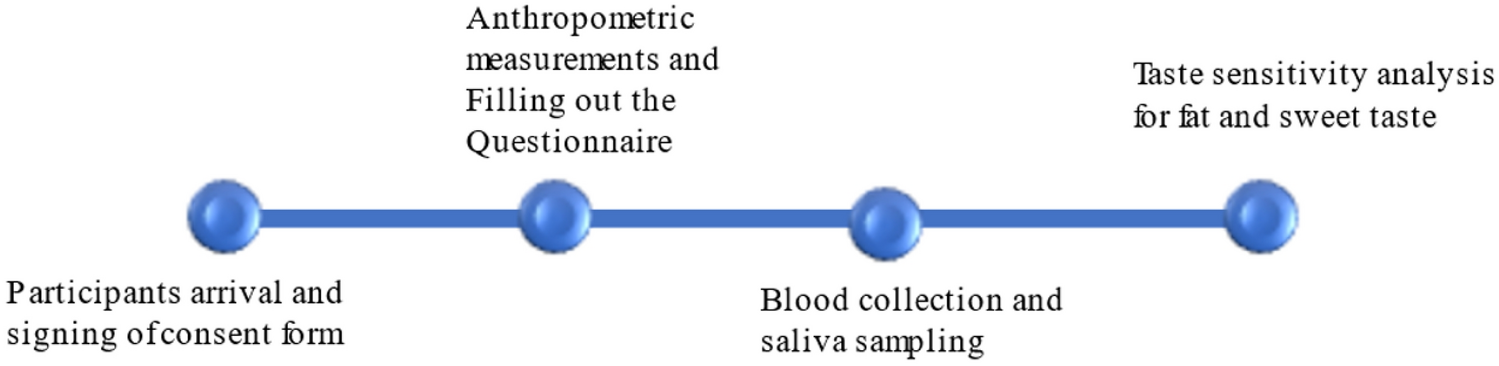 T1R2/T1R3 polymorphism affects sweet and fat perception: Correlation between SNP and BMI in the context of obesity development