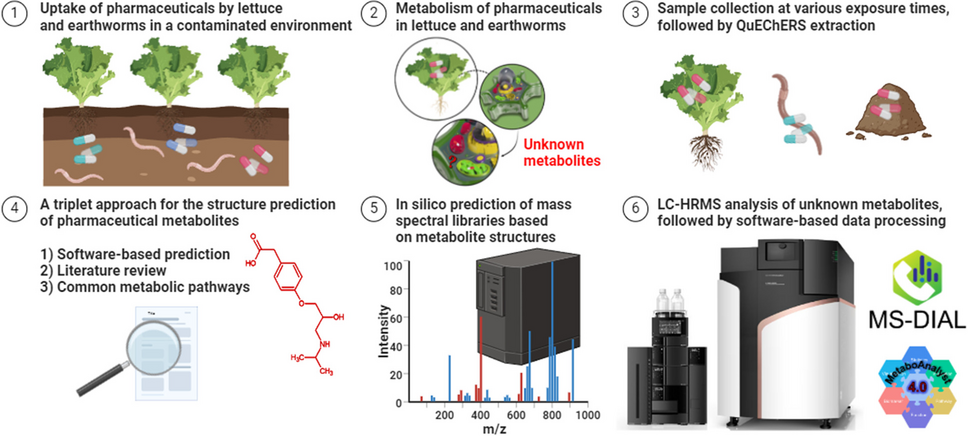 Pharmaceutical metabolite identification in lettuce (Lactuca sativa) and earthworms (Eisenia fetida) using liquid chromatography coupled to high-resolution mass spectrometry and in silico spectral library