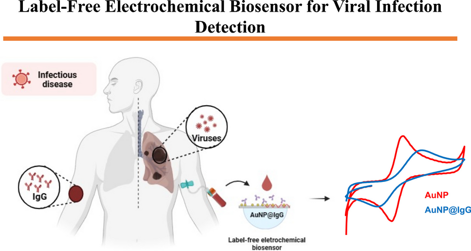 Diagnosis of viral infectious diseases through sensitive detection of human serum antibodies using a modified label-free electrochemical biosensor