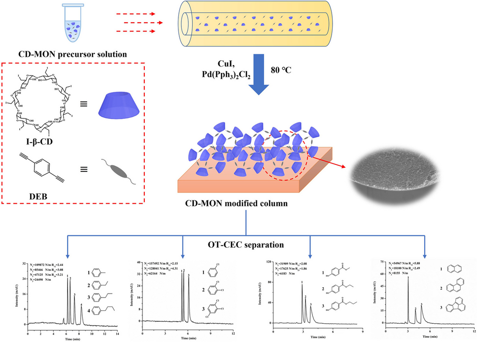 Monomer-mediated growth of β-cyclodextrin-based microporous organic network as stationary phase for capillary electrochromatography