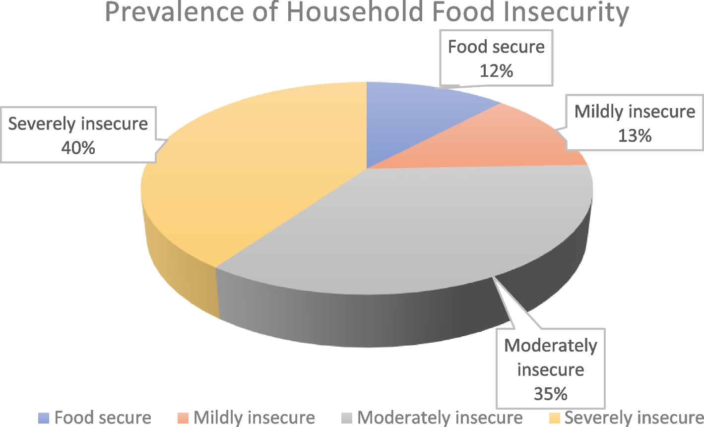 The relationship between food insecurity, purchasing patterns and perceptions of the food environment in urban slums in Ibadan, Nigeria