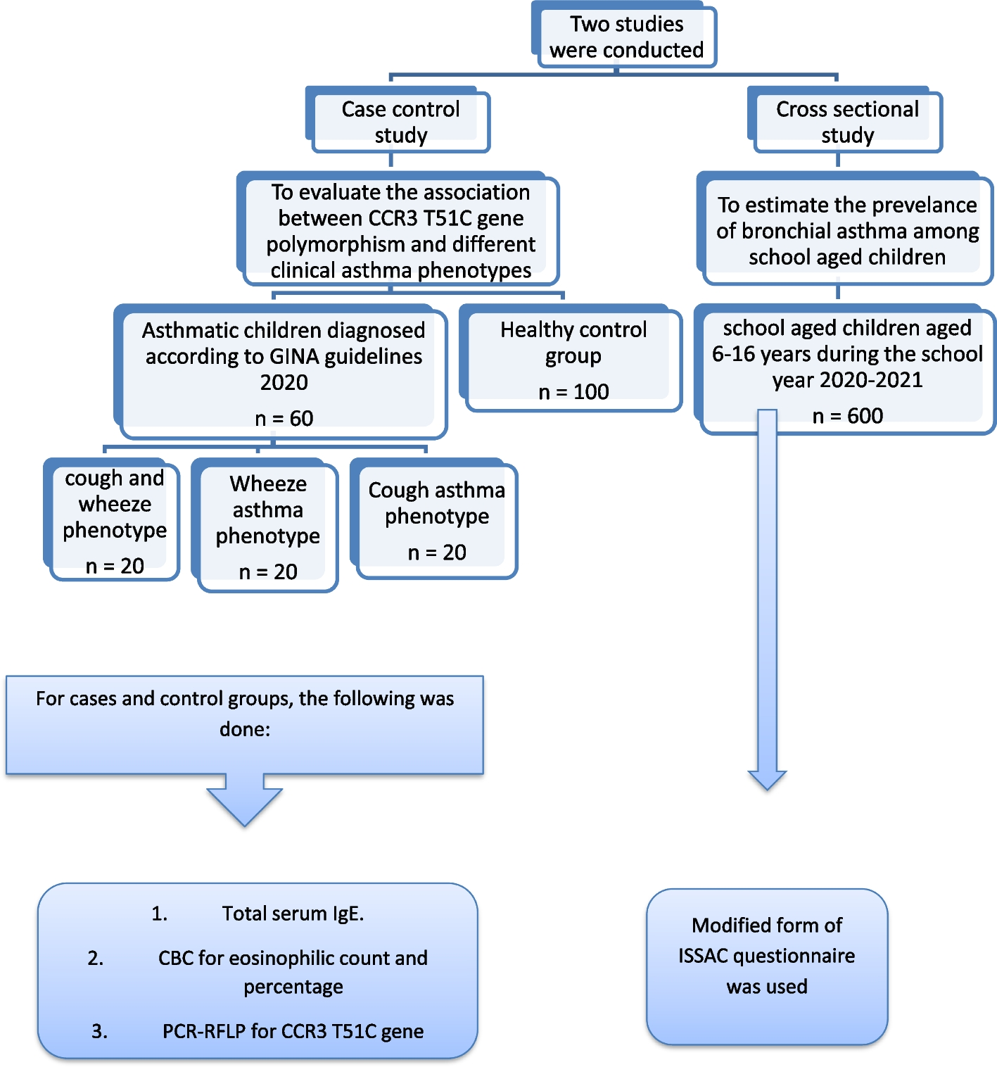 Prevalence and CCR3-T51C genotype–phenotype correlation of bronchial asthma among basic education school children: an observational study