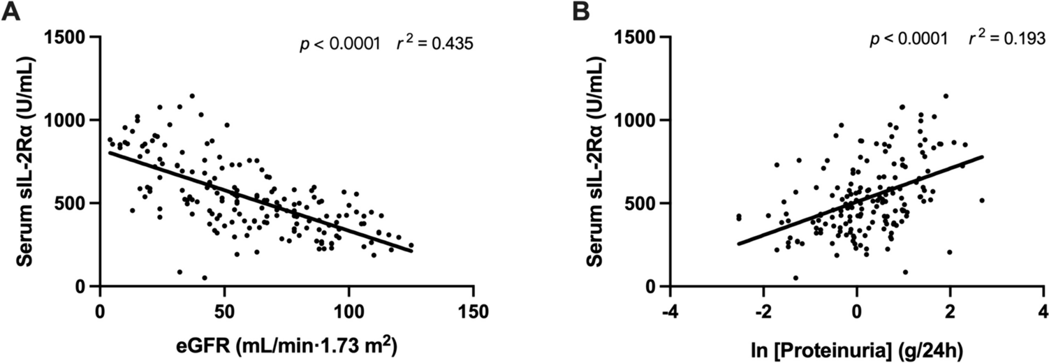 Serum soluble interleukin-2 receptor alpha may predict tubulointerstitial inflammatory cell infiltration and short-term disease progression in immunoglobin A nephropathy