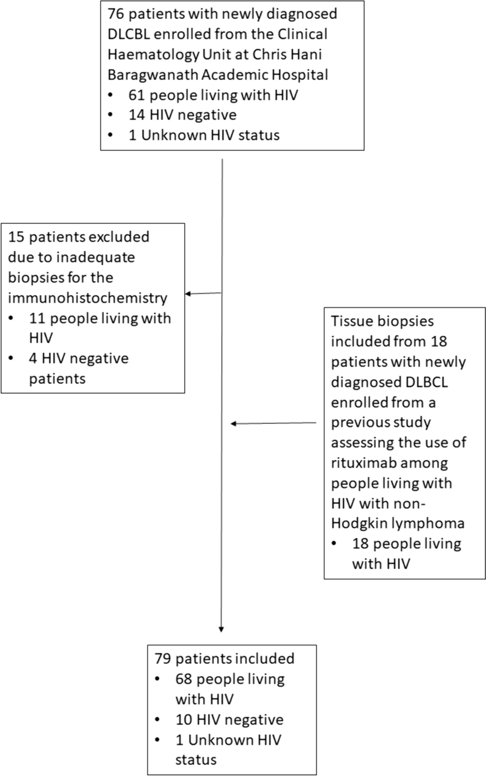 Tumour-associated macrophages in diffuse large B-cell lymphoma: the prognostic and therapeutic impact in a South African centre with high HIV seroprevalence