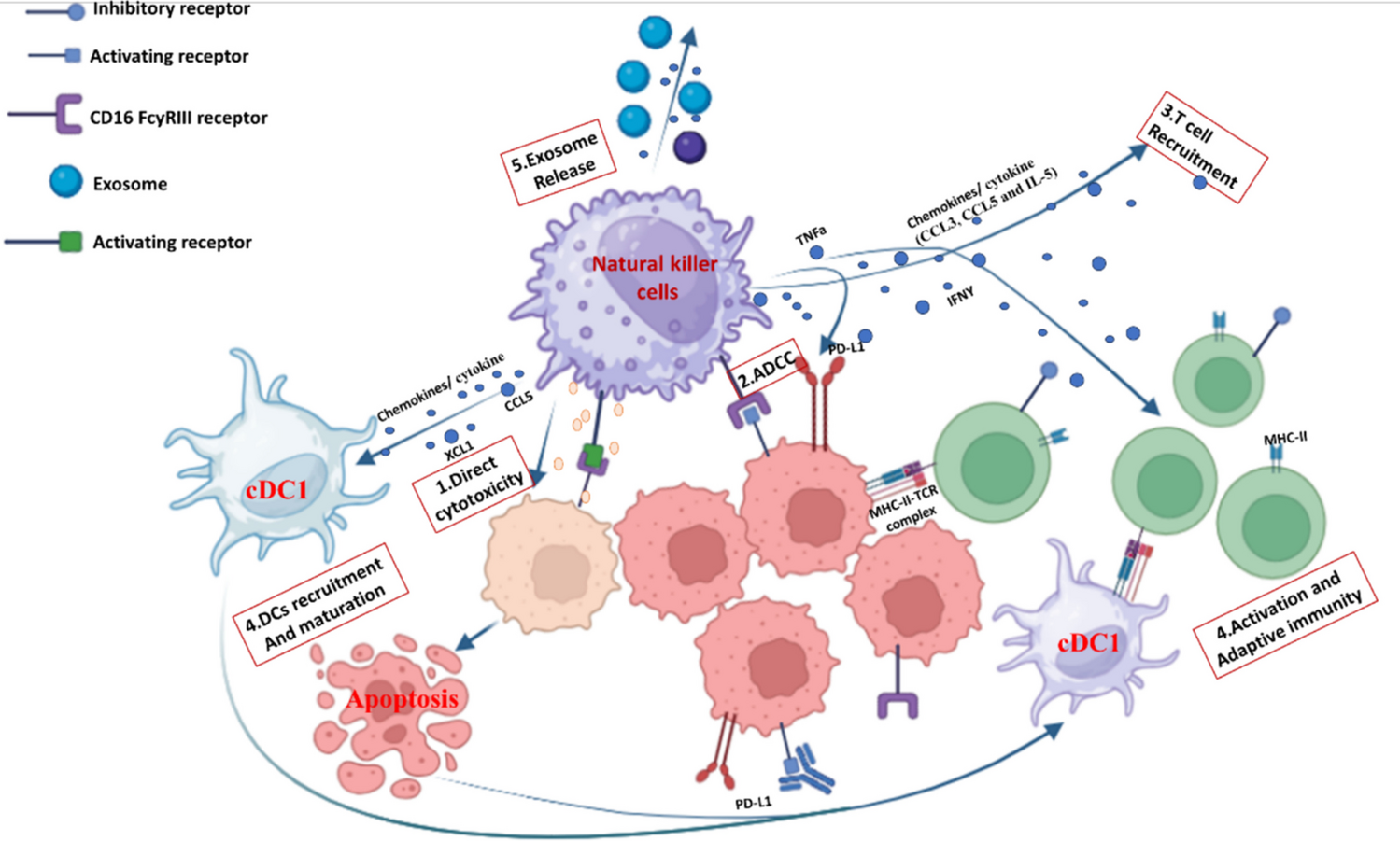NK/DC crosstalk-modulating antitumor activity via Sema3E/PlexinD1 axis for enhanced cancer immunotherapy