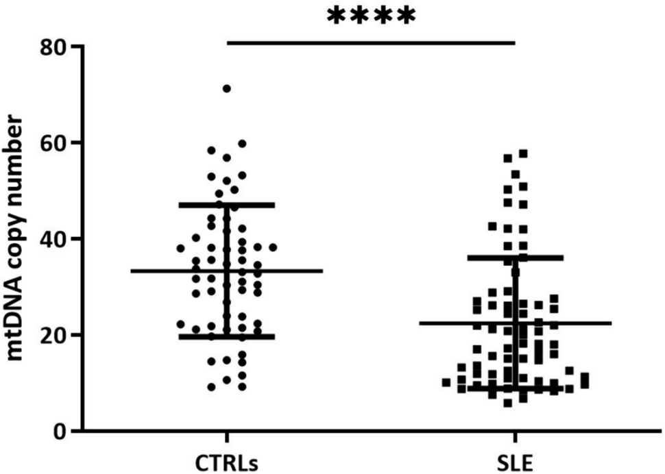 The dysregulation of mitochondrial homeostasis–related genes could be involved in the decrease of mtDNA copy number in systemic lupus erythematosus patients