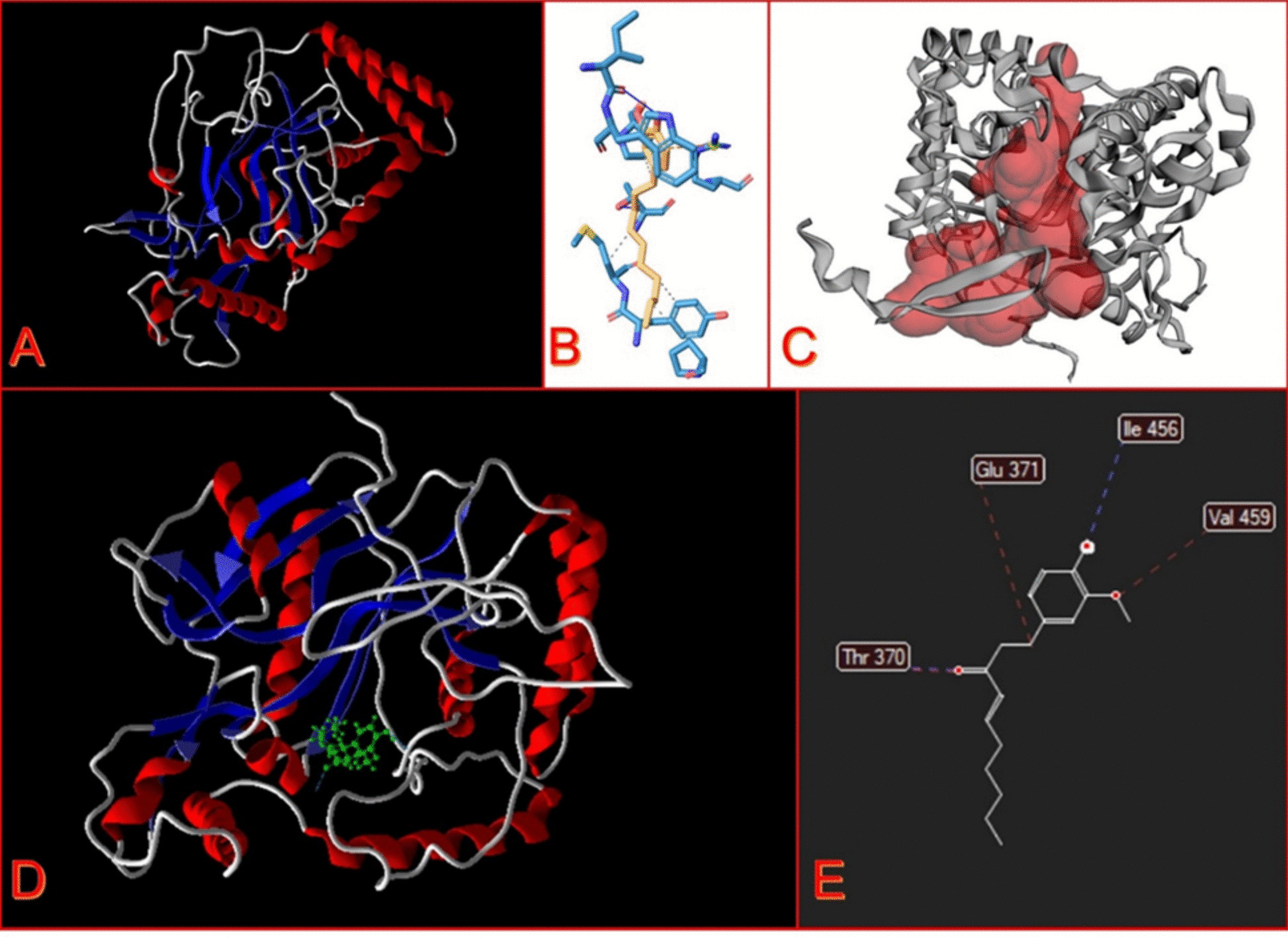 In silico and experimental potentials of 6-shogaol and meglumine antimoniate on Leishmania major: multiple synergistic combinations through modulation of biological properties