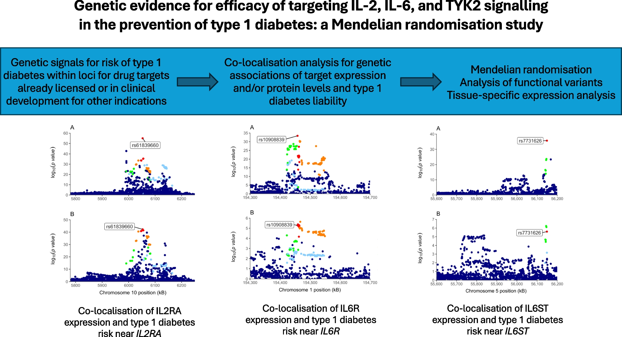 Genetic evidence for efficacy of targeting IL-2, IL-6 and TYK2 signalling in the prevention of type 1 diabetes: a Mendelian randomisation study
