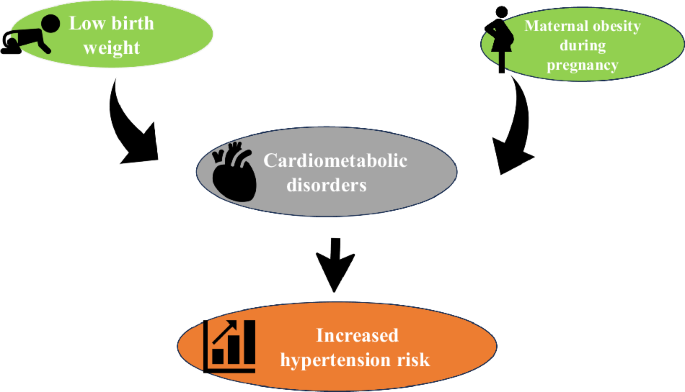 Relation between low birth weight or maternal obesity during pregnancy and cardiovascular risk factors