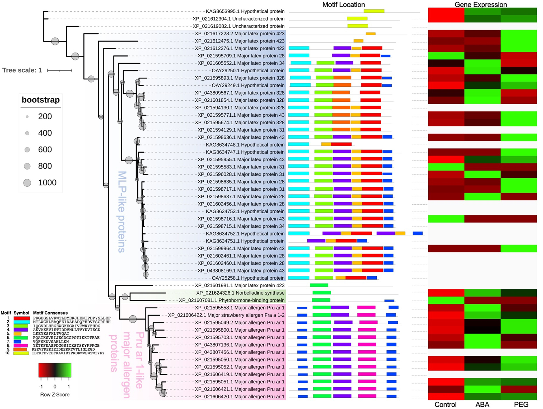 Genome-wide identification and data mining reveals major-latex protein (MLP) from the PR-10 protein family played defense-related roles against phytopathogenic challenges in cassava (Manihot esculenta Crantz)