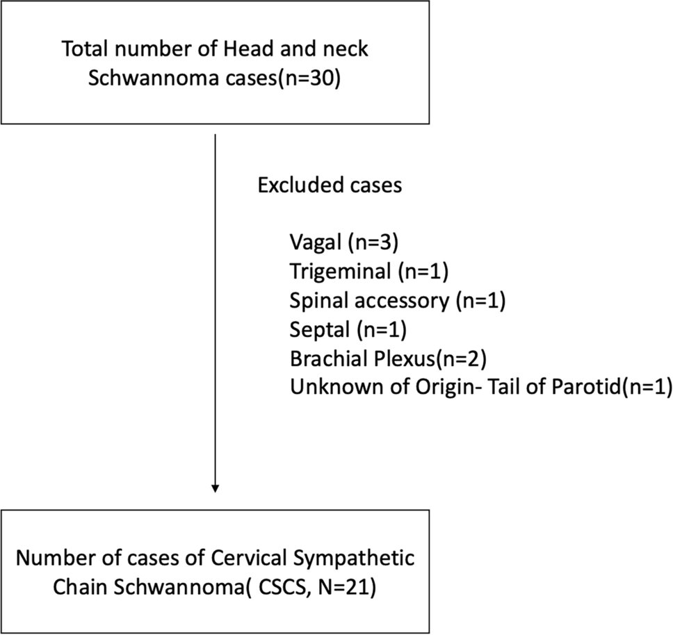 Comprehensive analysis of radiological and surgical predictors in cervical sympathetic schwannomas: a novel staging approach and its implications