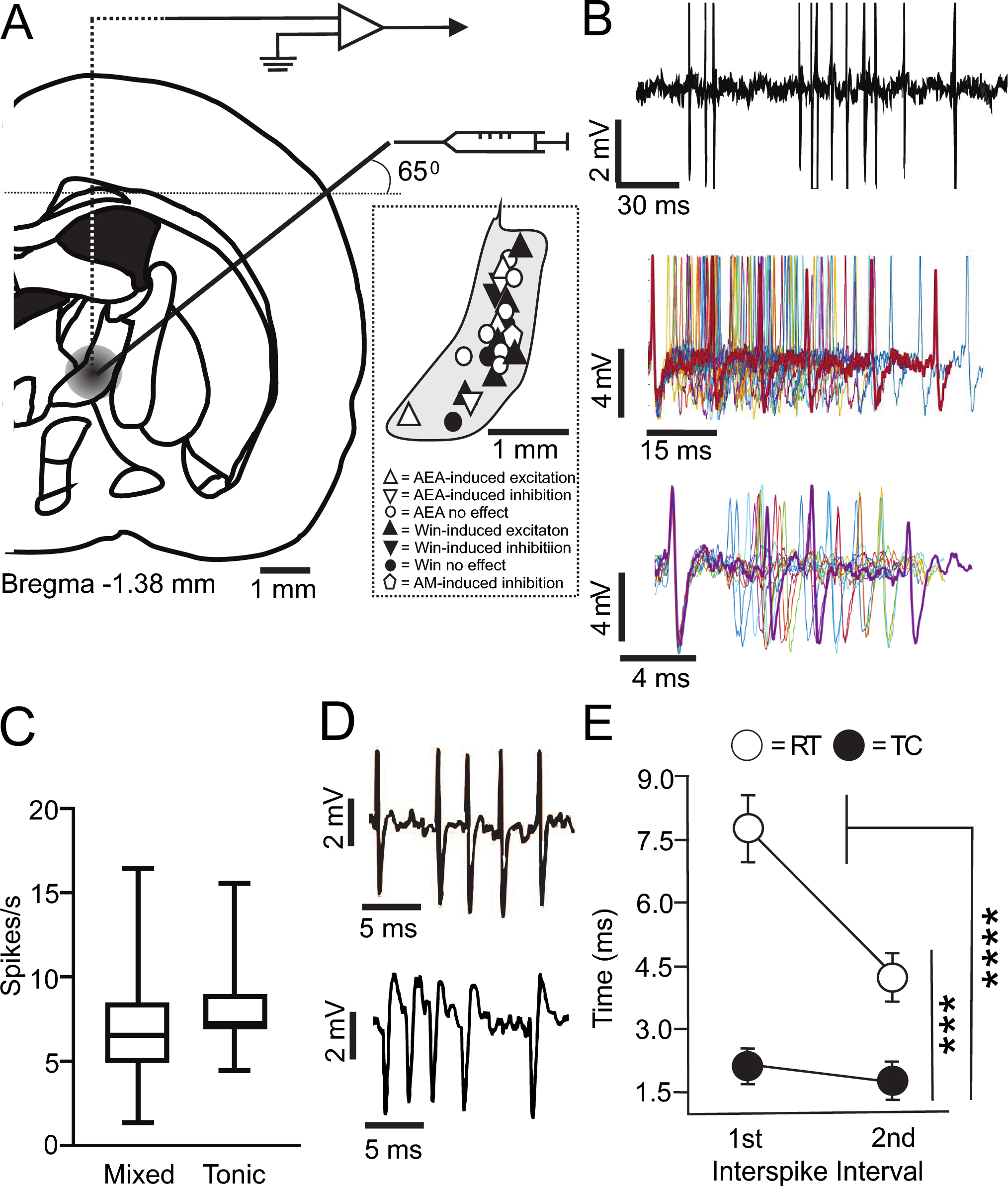 Local activation of CB1 receptors by synthetic and endogenous cannabinoids dampens burst firing mode of reticular thalamic nucleus neurons in rats under ketamine anesthesia