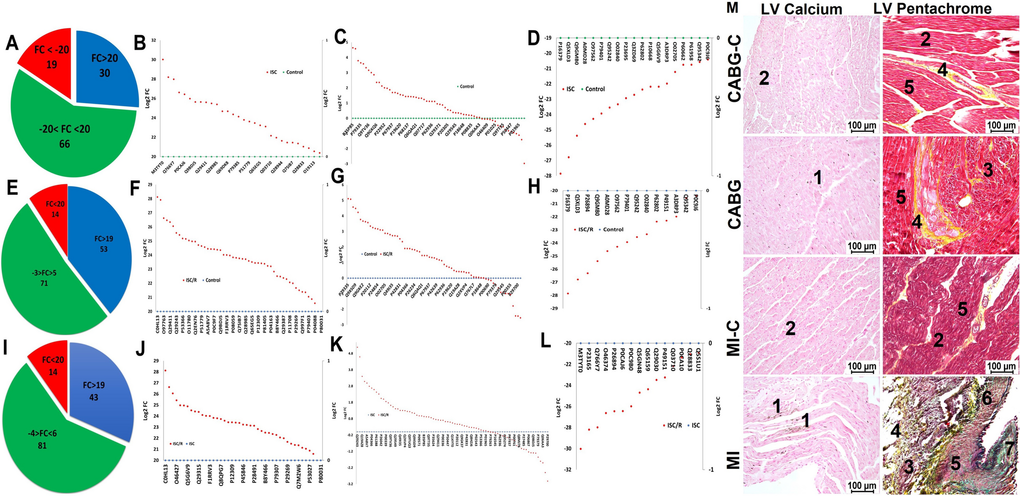 Ischemic cardiac stromal fibroblast-derived protein mediators in the infarcted myocardium and transcriptomic profiling at single cell resolution
