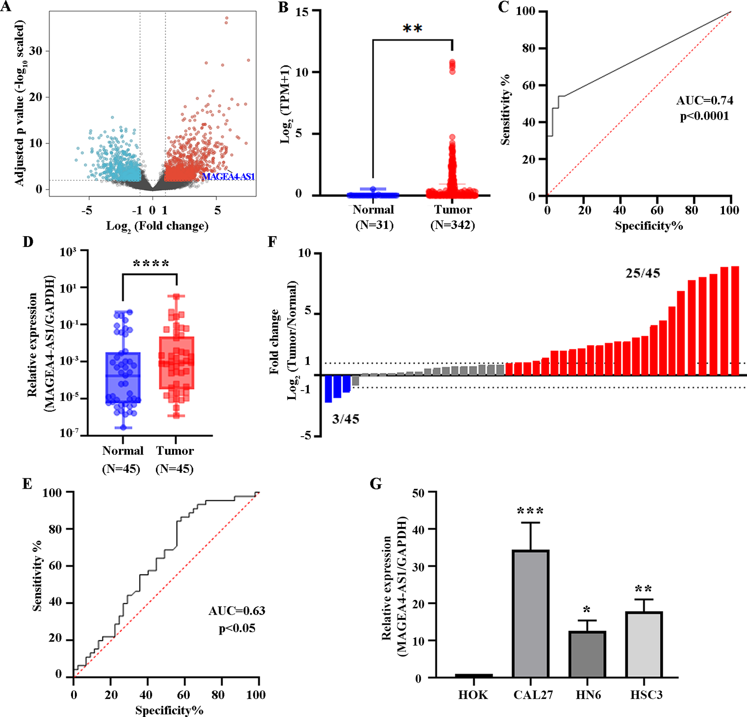 Long non-coding RNA MAGEA4-AS1 binding to p53 enhances MK2 signaling pathway and promotes the proliferation and metastasis of oral squamous cell carcinoma