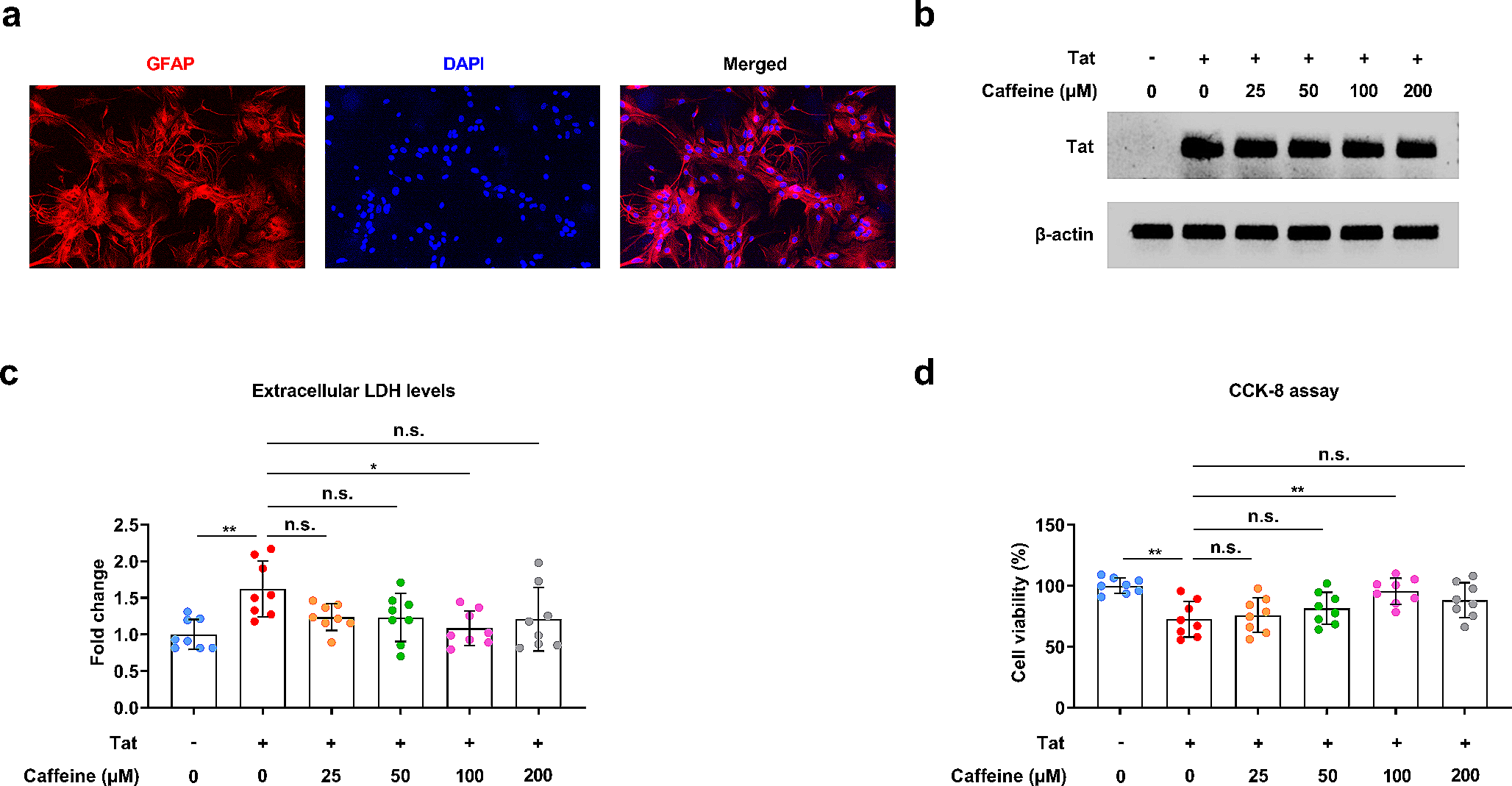 Caffeine upregulates SIRT3 expression to ameliorate astrocytes-mediated HIV-1 Tat neurotoxicity via suppression of EGR1 signaling pathway