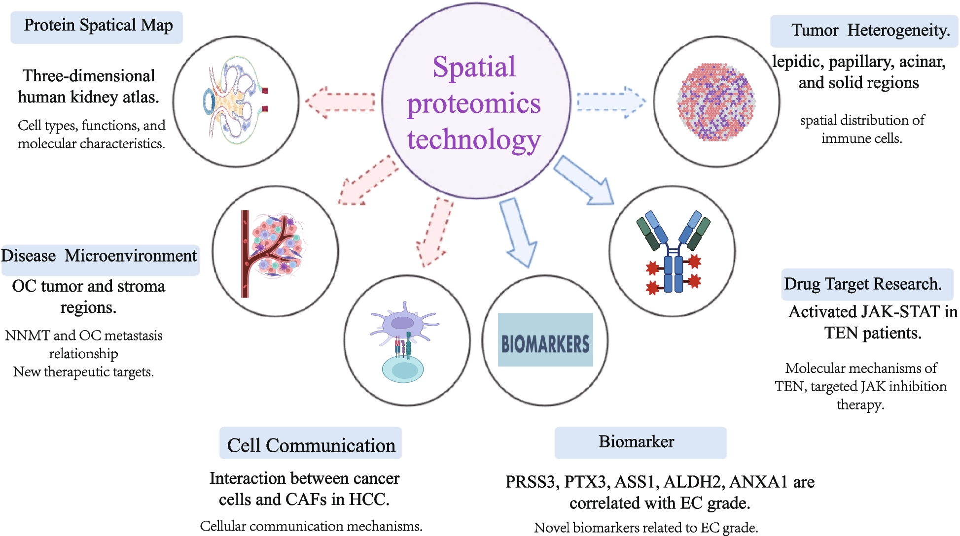 Spatial proteomics: unveiling the multidimensional landscape of protein localization in human diseases