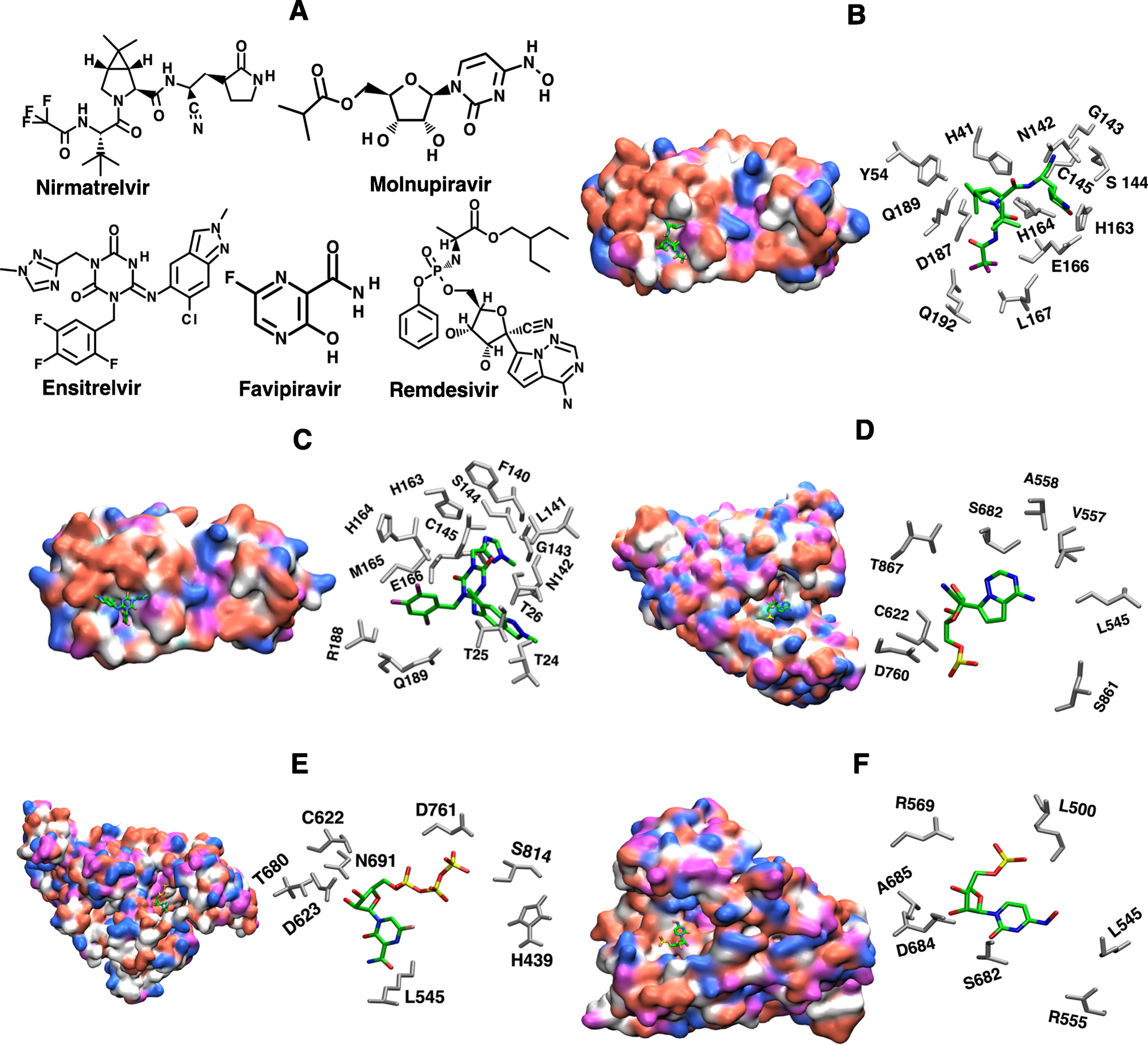 SARS-CoV-2 Resistance to Small Molecule Inhibitors