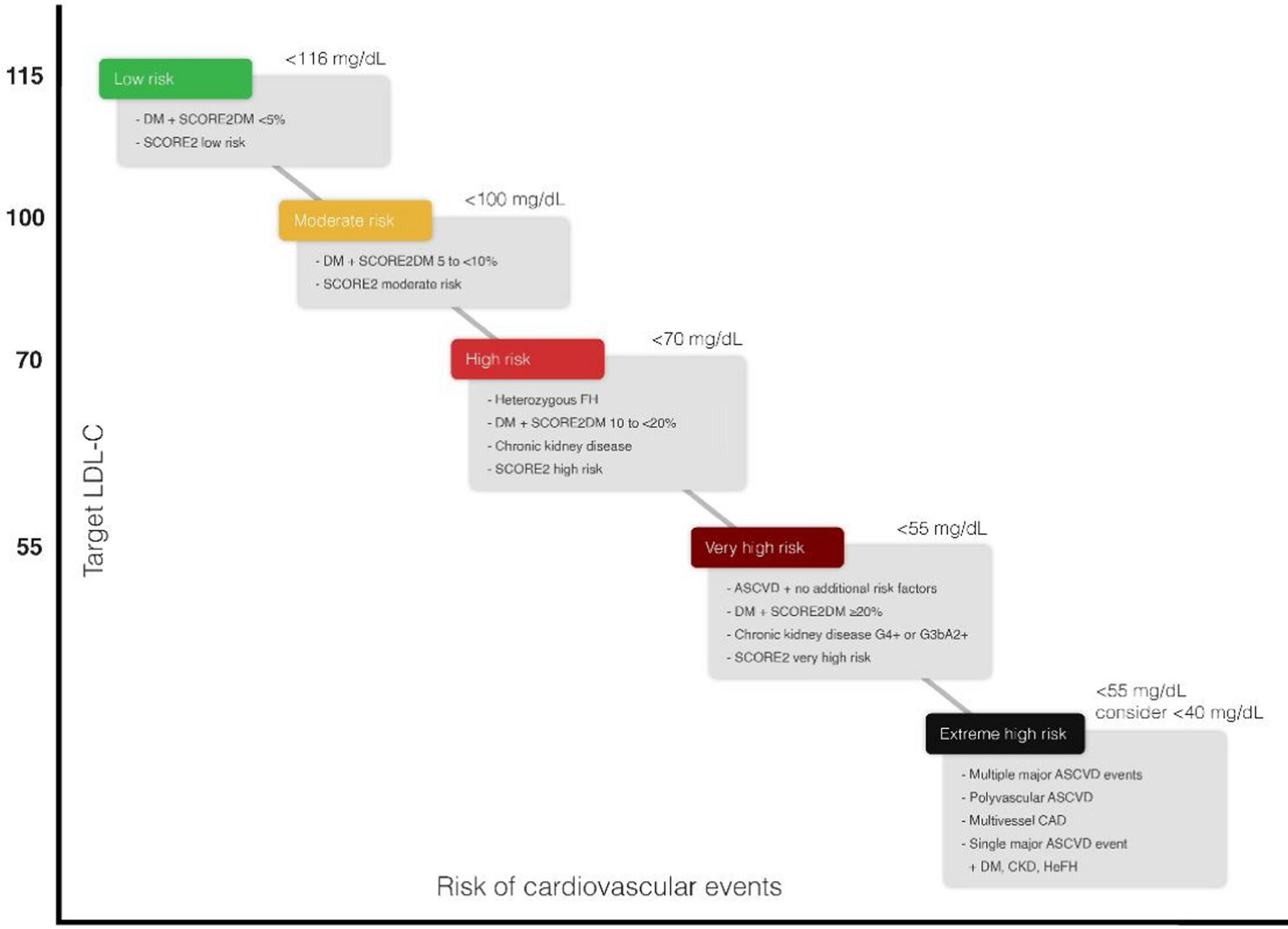 2024 Egyptian consensus statement on the role of non-statin therapies for LDL cholesterol lowering in different patient risk categories