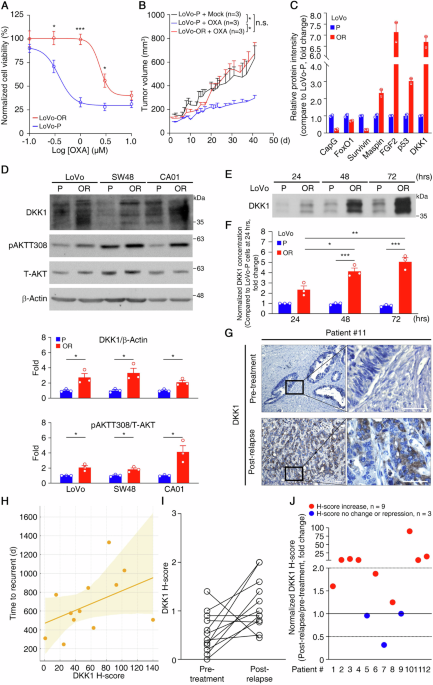 DKK1 as a chemoresistant protein modulates oxaliplatin responses in colorectal cancer