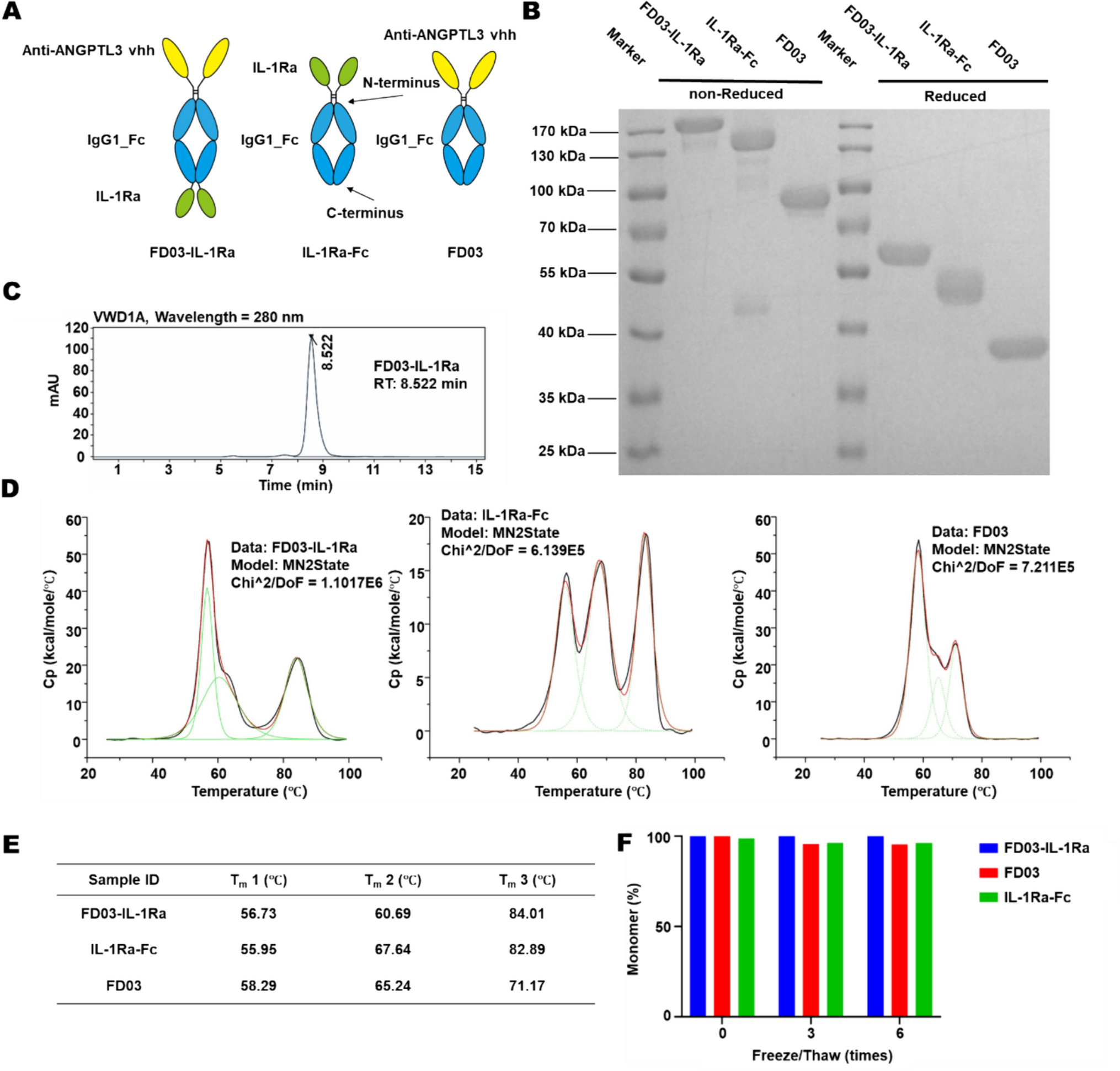Simultaneously blocking ANGPTL3 and IL-1β for the treatment of atherosclerosis through lipid-lowering and anti-inflammation