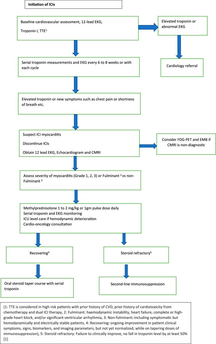 Immune Checkpoint Inhibitors and Their Cardiovascular Adverse Effects