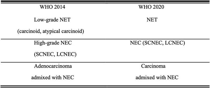 Advances in Research, Diagnosis, and Treatment of Neuroendocrine Cervical Carcinoma: A Review
