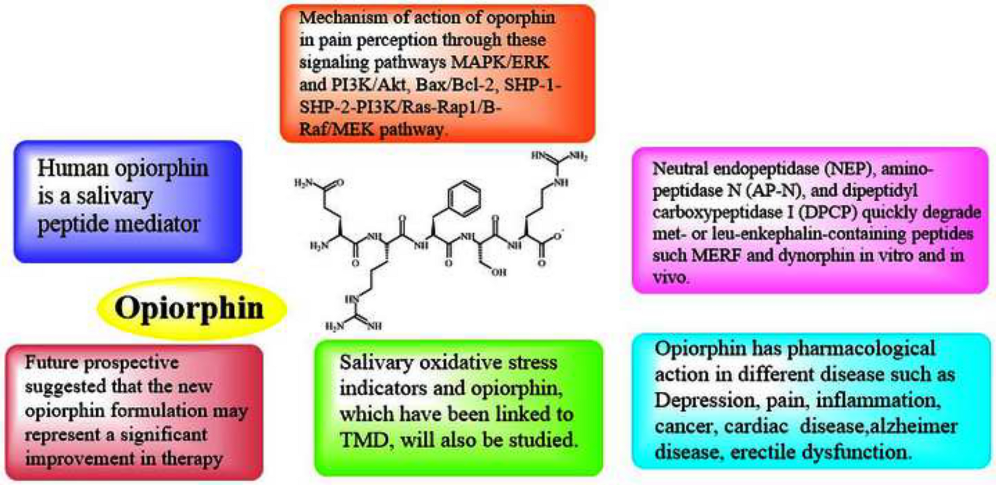 Opiorphin: an endogenous human peptide with intriguing application in diverse range of pathologies