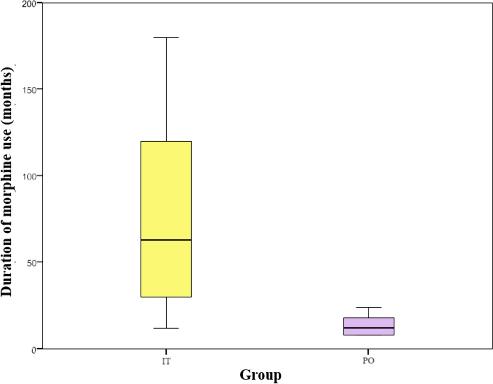 Immune response and cytokine profiles in post-laminectomy pain syndrome: comparative analysis after treatment with intrathecal opioids, oral opioids, and non-opioid therapies