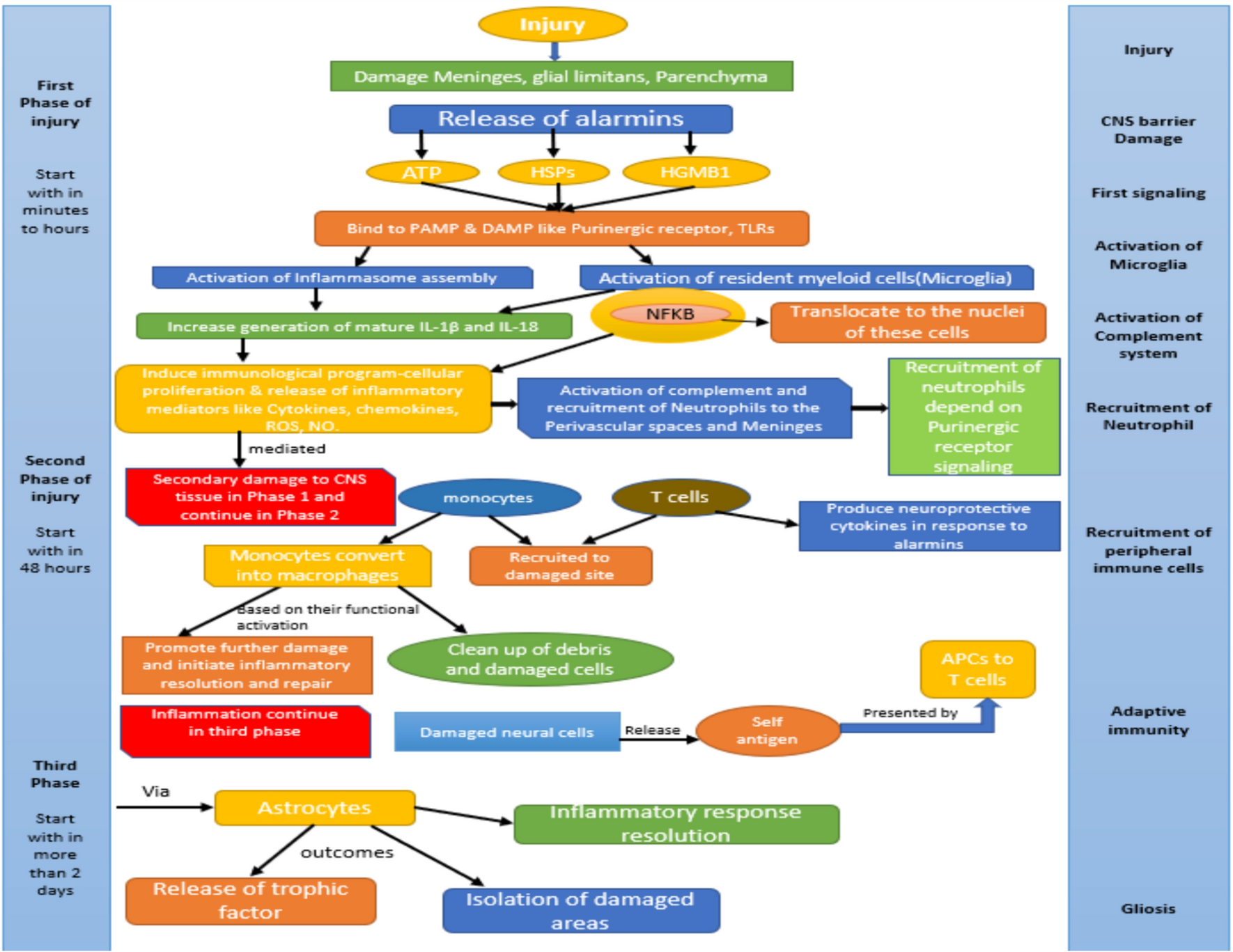 ‘Comprehensive review of emerging drug targets in traumatic brain injury (TBI): challenges and future scope