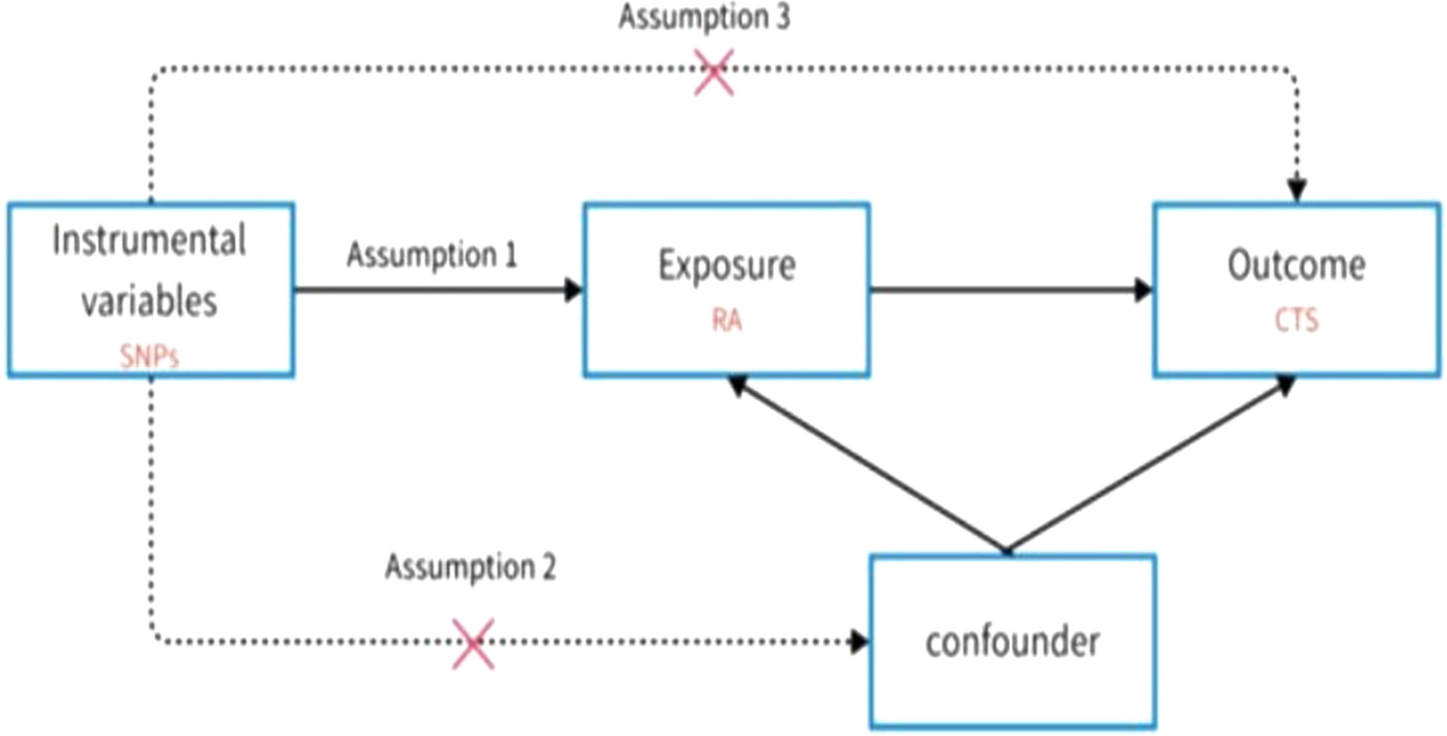Causal relationship between rheumatoid arthritis and carpal tunnel syndrome: a bidirectional two-sample Mendelian randomization study