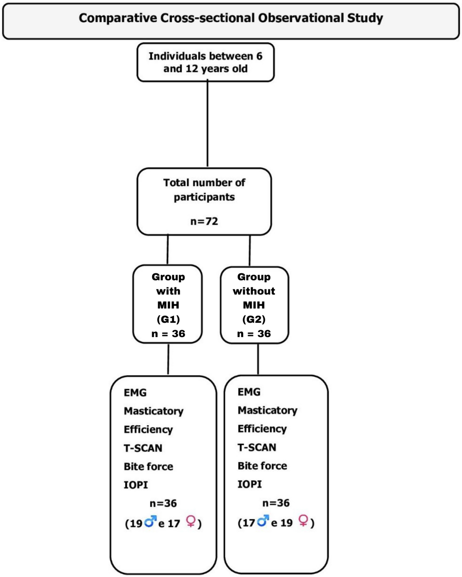 Analysis of the stomatognathic system functions and mastication muscles in children affected by molar hypomineralization (MH): a cross-sectional study