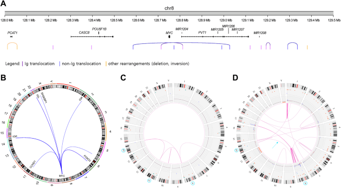 Characterization of MYC Rearrangements in Multiple Myeloma: an Optical Genome Mapping Approach