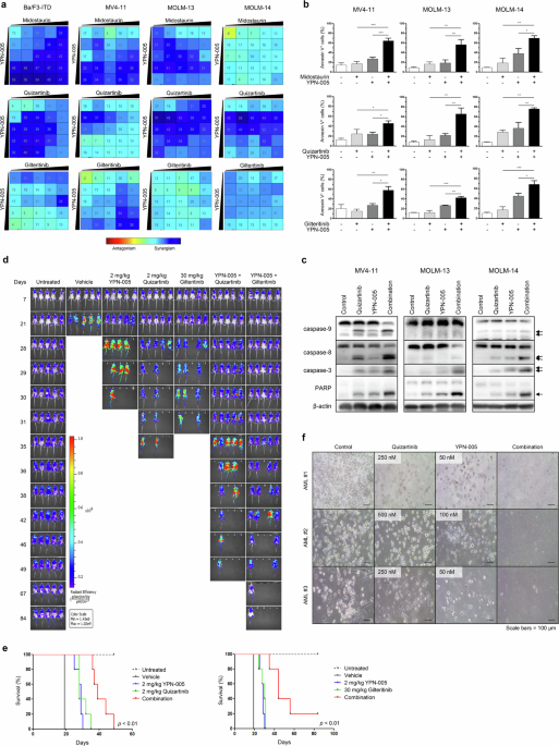 Synergistic effect of FMS-like tyrosine kinase-3 (FLT3) inhibitors combined with a CDK7 inhibitor in FLT3-ITD-mutated acute myeloid leukemia
