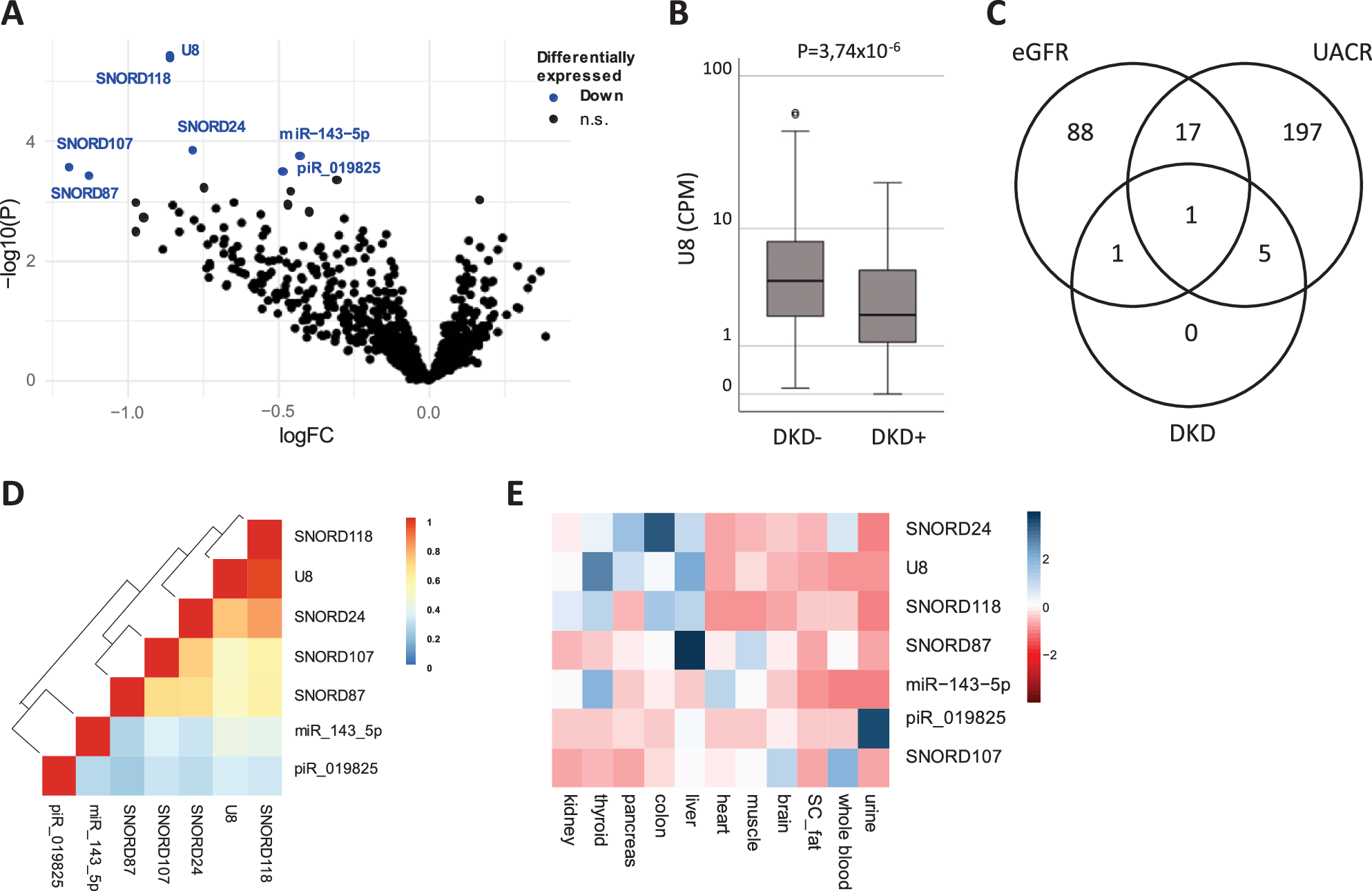 Small RNA sequencing reveals snoRNAs and piRNA-019825 as novel players in diabetic kidney disease