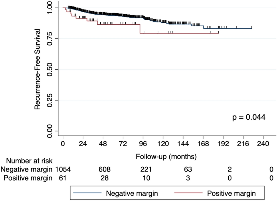 Long-term consequences of positive surgical margin after partial nephrectomy for renal cell carcinoma: multi‐institutional analysis