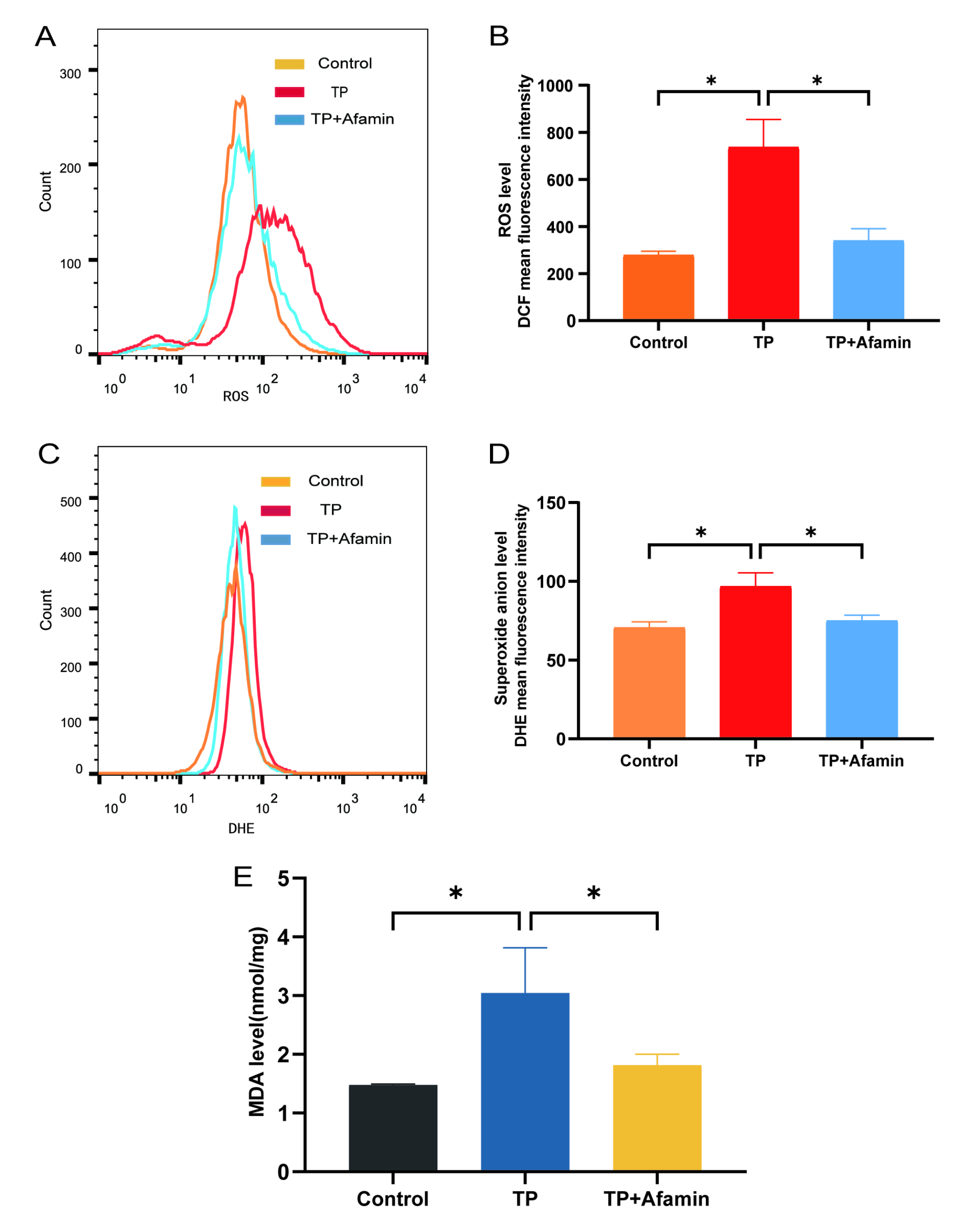 Protective effect of afamin protein against oxidative stress related injury in human ovarian granulosa cells