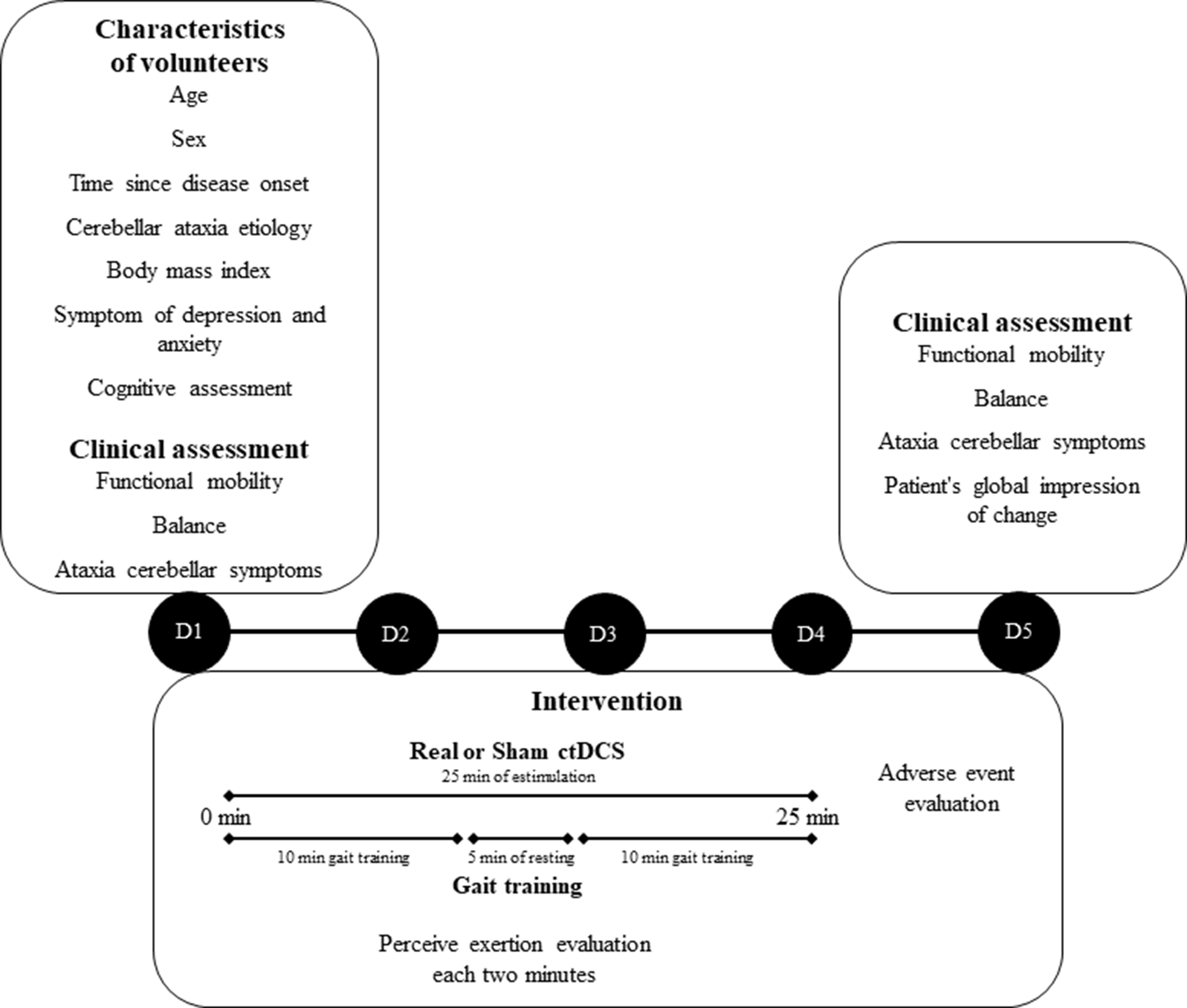 Differential Effects of Cerebellar Transcranial Direct Current Stimulation with Gait Training on Functional Mobility, Balance, and Ataxia Symptoms