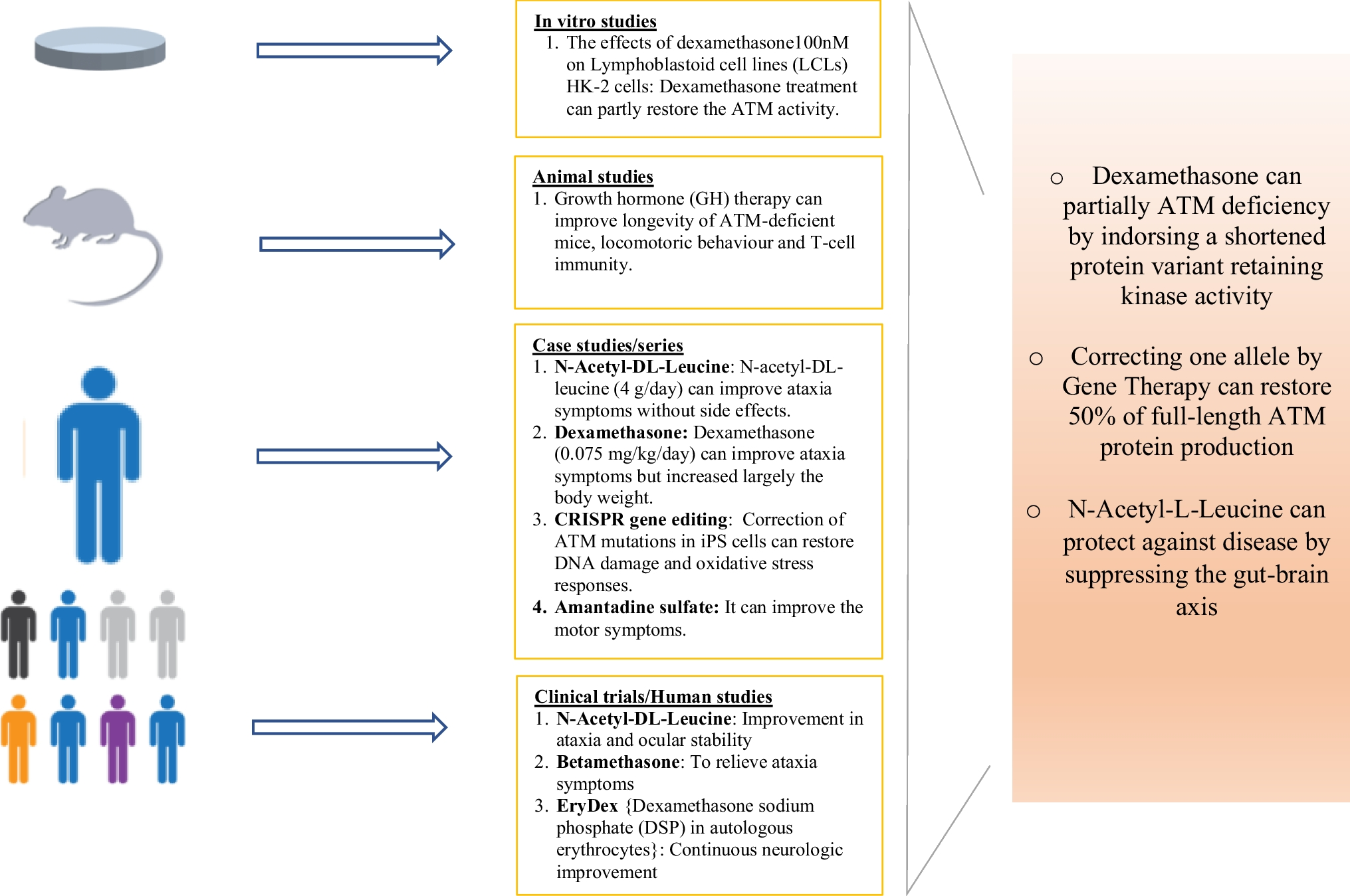 The Latest Developments for the Treatment of Ataxia Telangiectasia: A Narrative Review