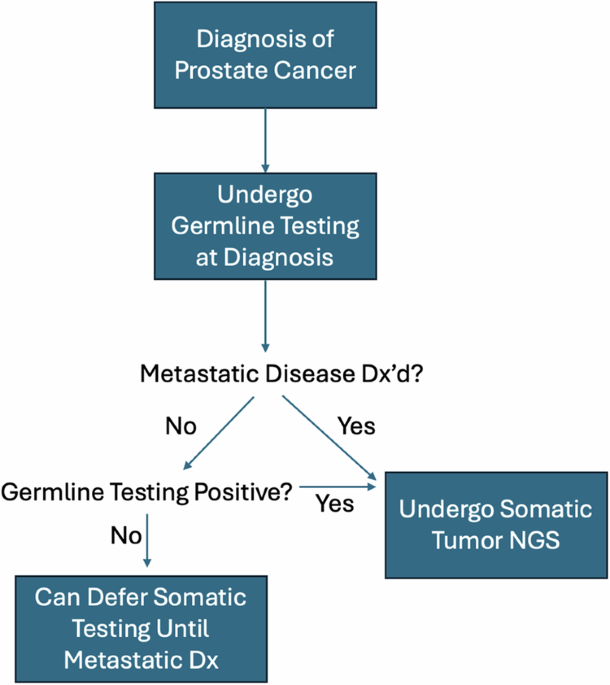 Germline and somatic testing for homologous repair deficiency in patients with prostate cancer (part 1 of 2)