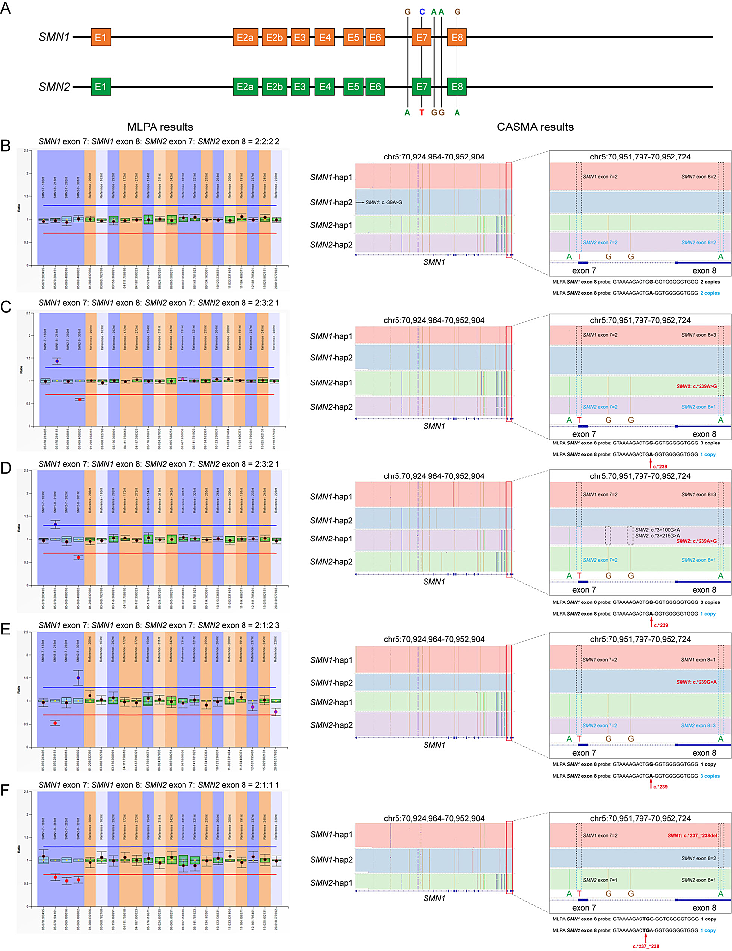 Evaluating the clinical efficacy of a long-read sequencing-based approach for carrier screening of spinal muscular atrophy