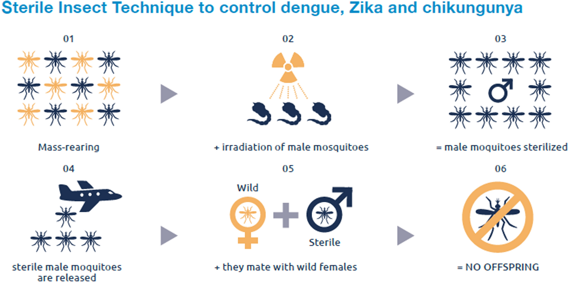 Current status of the sterile insect technique for the suppression of mosquito populations on a global scale